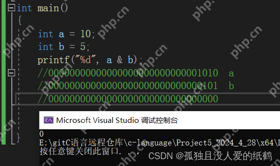 C语言：操作符详解（超详细的操作符详解）