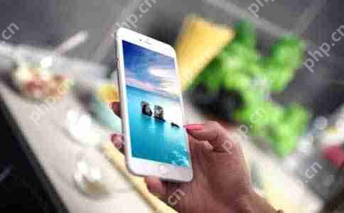 洞悉先机APP开发在服务行业中的战略价值!