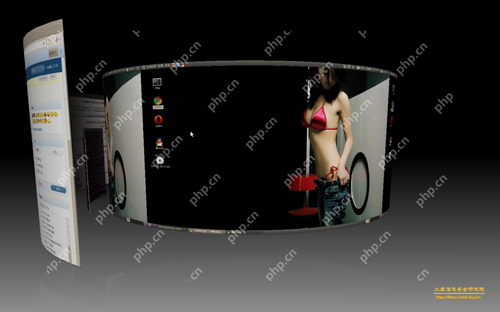 Ubuntu不能开启3D特效