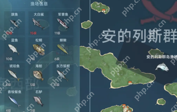 大航海时代传说全渔场鱼类图鉴：从菜鸟到捕鱼达人的终极指南