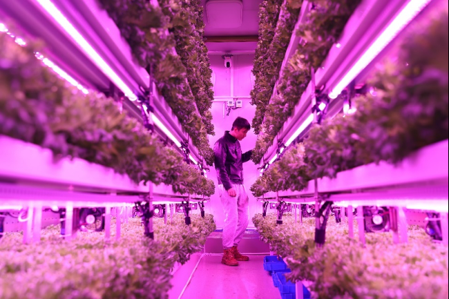 拼多多2024全年财报出炉，高质量发展效用加速释放，新质供给助推产业转型升级