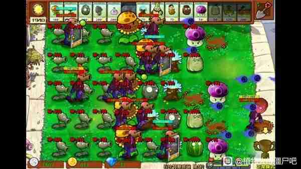 《植物大战僵尸杂交版》新手指南-植物大战僵尸杂交版新手攻略