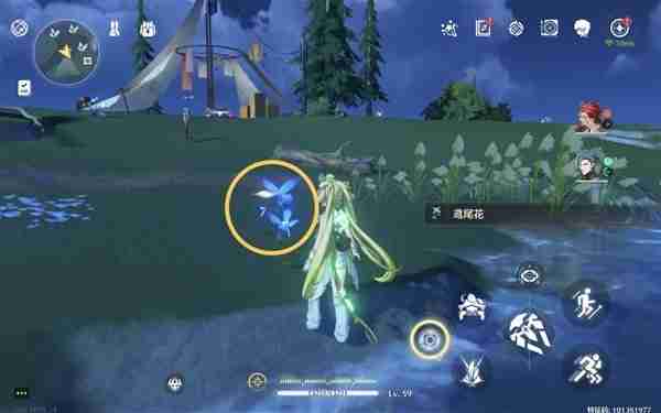 《鸣潮》鸢尾花位置说明-鸢尾花采集线路分享