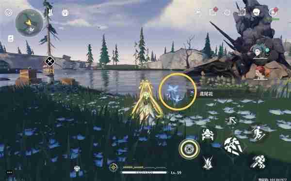 《鸣潮》鸢尾花位置说明-鸢尾花采集线路分享