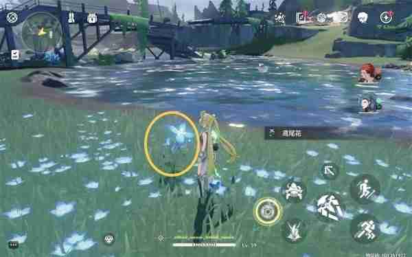 《鸣潮》鸢尾花位置说明-鸢尾花采集线路分享