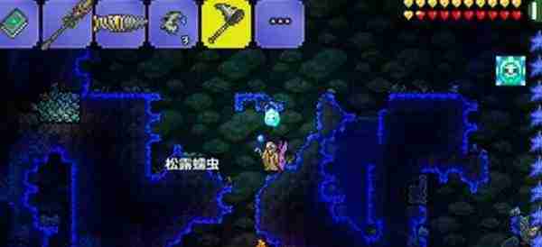 《泰拉瑞亚》松露虫快速抓取方法介绍