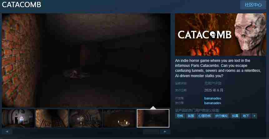 CATACOMB开放Steam页面：深入巴黎地下墓穴，迎接恐怖挑战