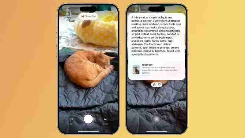 苹果升级iPhone 16视觉智能:提取海报日期变日历、实时识别动植物