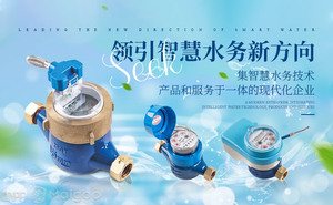 最受欢迎的水表前十名 市场上人气爆棚的水表品牌