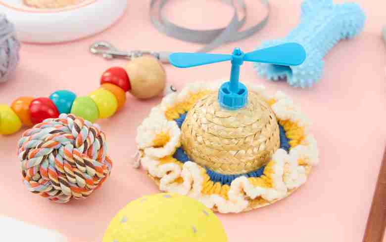 领养宠物准备什么物品 十大宠物领养必备物品有哪些