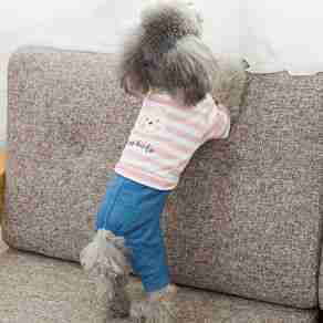 嬉皮狗宠物服装哪个型号好?嬉皮狗宠物服装热卖产品推荐