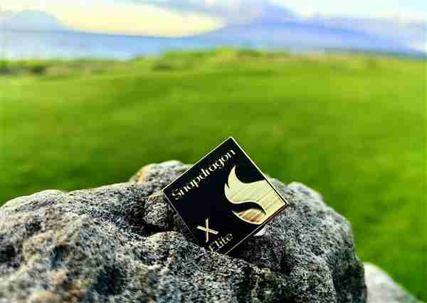 高通绝不低头!骁龙X只用了Arm不到1% IP