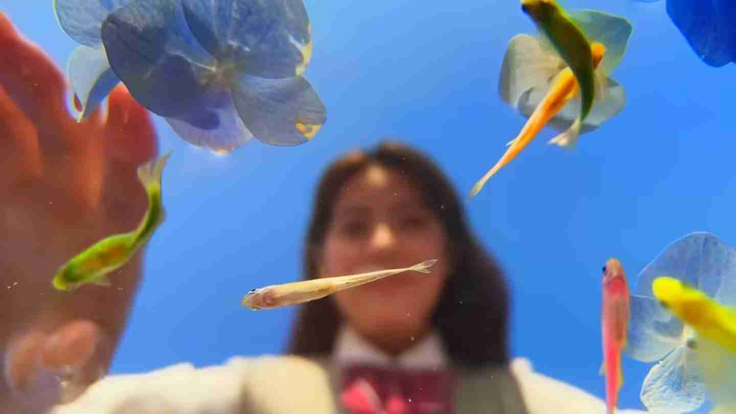 OPPO Reno 13手机全系支持IP69防水,提供水下相机拍摄玩法