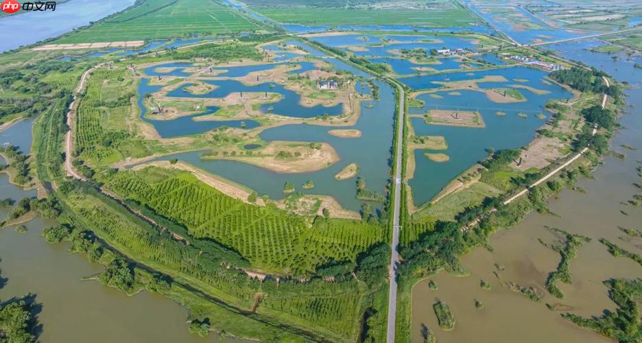 三角洲官方网址入口 唯一正版官方网站