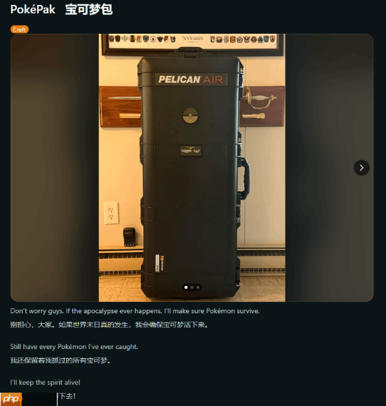 《宝可梦》玩家卡带特制包引热议 即便末日也能扛!