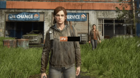 惊喜！《最后生还者2》多人模式有望“复活” 模组大神出手突破