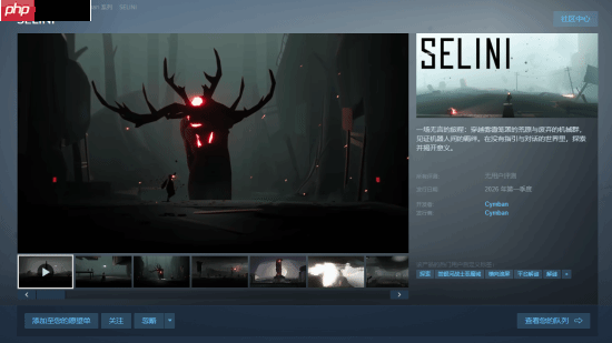 平台解谜《SELINI》定档明年Q1:开发耗时十年 全程无文本叙事