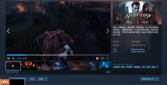 开放世界RPG《嗜血之王：崛起》定档1月30日：建造城堡 管理氏族