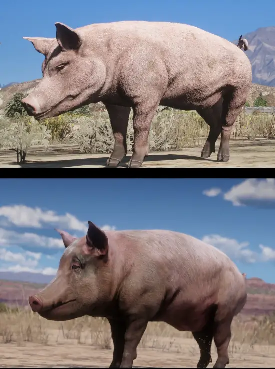 抽象建模看笑了！玩家对比《给他爱5》&《荒野大镖客：救赎2》动物建模