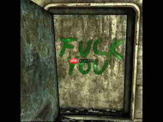 随手写的一句脏话 竟成了《辐射》“图腾”?