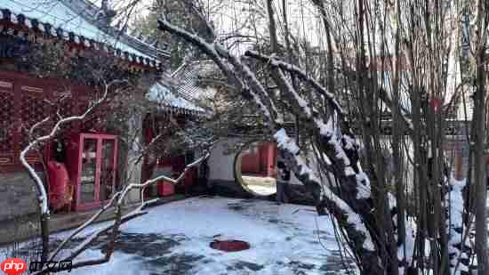 《黑神话：悟空》杨奇晒雪景图：风骚作诗一首！