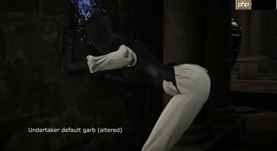 《艾尔登法环:黑夜君临》修女全皮肤舔墙合集:你最喜欢哪套衣服?