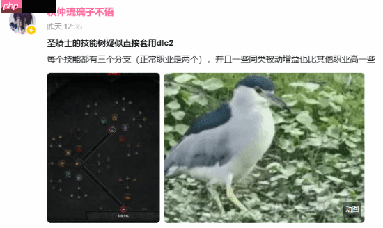 暴雪到底有没有卖数值?《暗黑4》新职业强度逆天