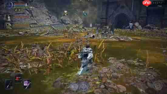 《艾尔登法环：黑夜君临》新DLC确认含毒沼！魂游必吃榜