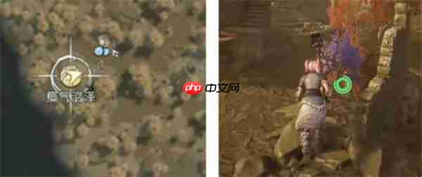 荒原曙光瘴气沼泽隐藏宝箱全收集汇总