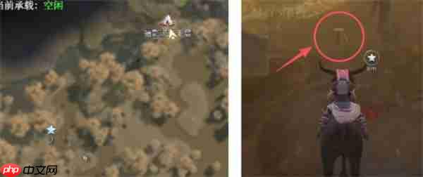 荒原曙光瘴气沼泽隐藏宝箱全收集汇总