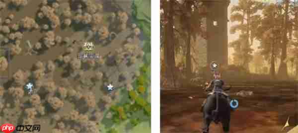 荒原曙光瘴气沼泽隐藏宝箱全收集汇总