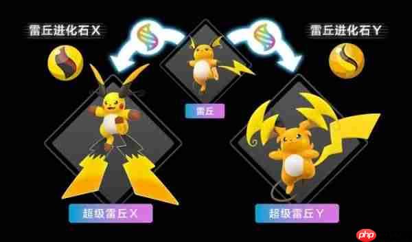宝可梦传说ZADLC超级雷丘Y特性