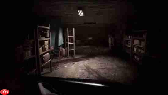 第一人称恐怖新游明日发售!受生化7启发 支持中文