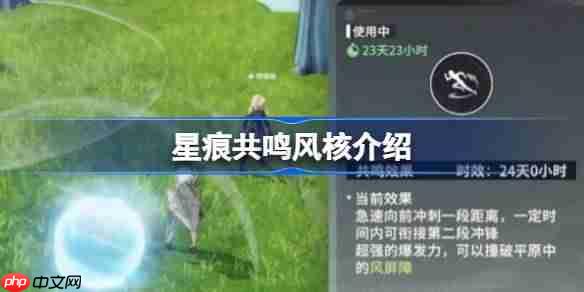 星痕共鸣风核该怎么使用-星痕共鸣风核介绍