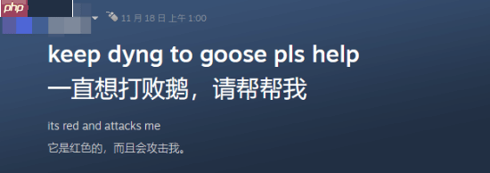 大鹅凶蛮已成国际玩家共识:老外也打不过《燕云十六声》的大鹅