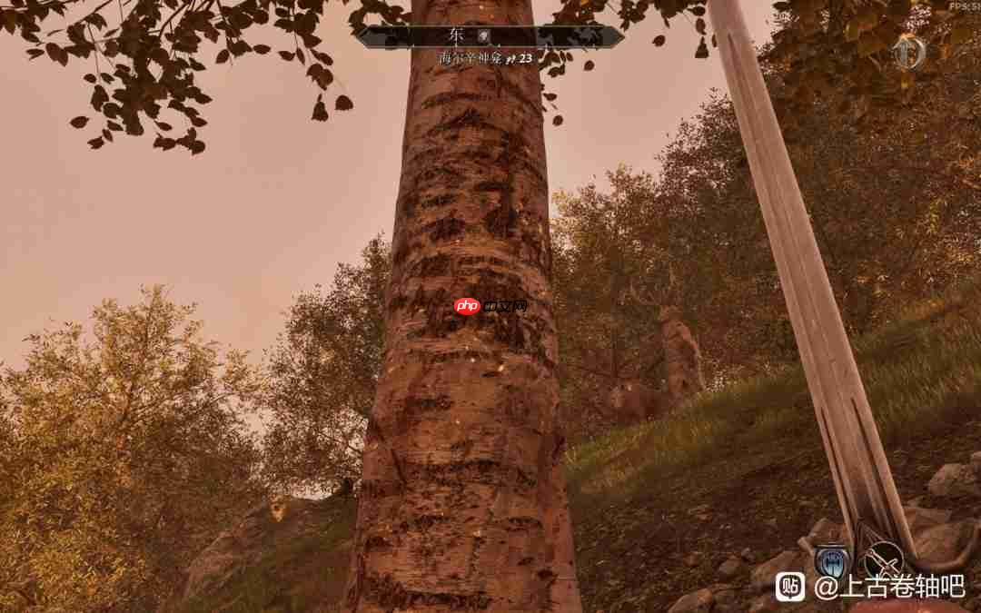 《上古卷轴4：湮灭重制版》攻略——大衮套获得方法介绍