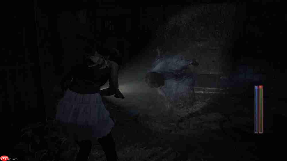 『零 ～红蝶～ REMAKE』2026年3月12日（四）发售决定 预购开放中