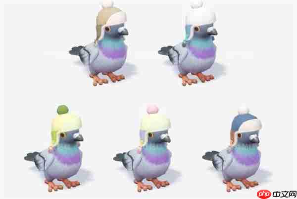 心动小镇沸雪浴场5个鸟类攻略