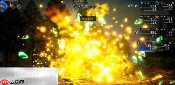 歧路旅人0路德图鉴 歧路旅人0路德人物介绍